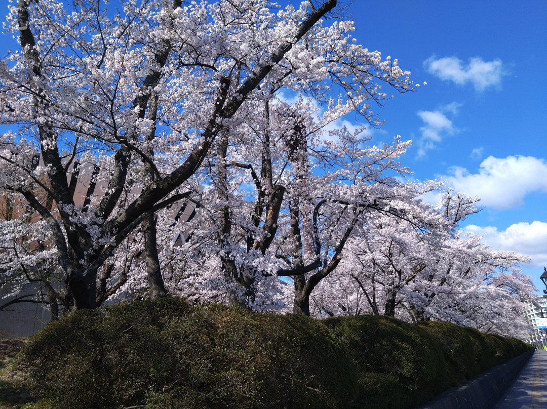 Kaiseiyama Park-郡山市必去景点