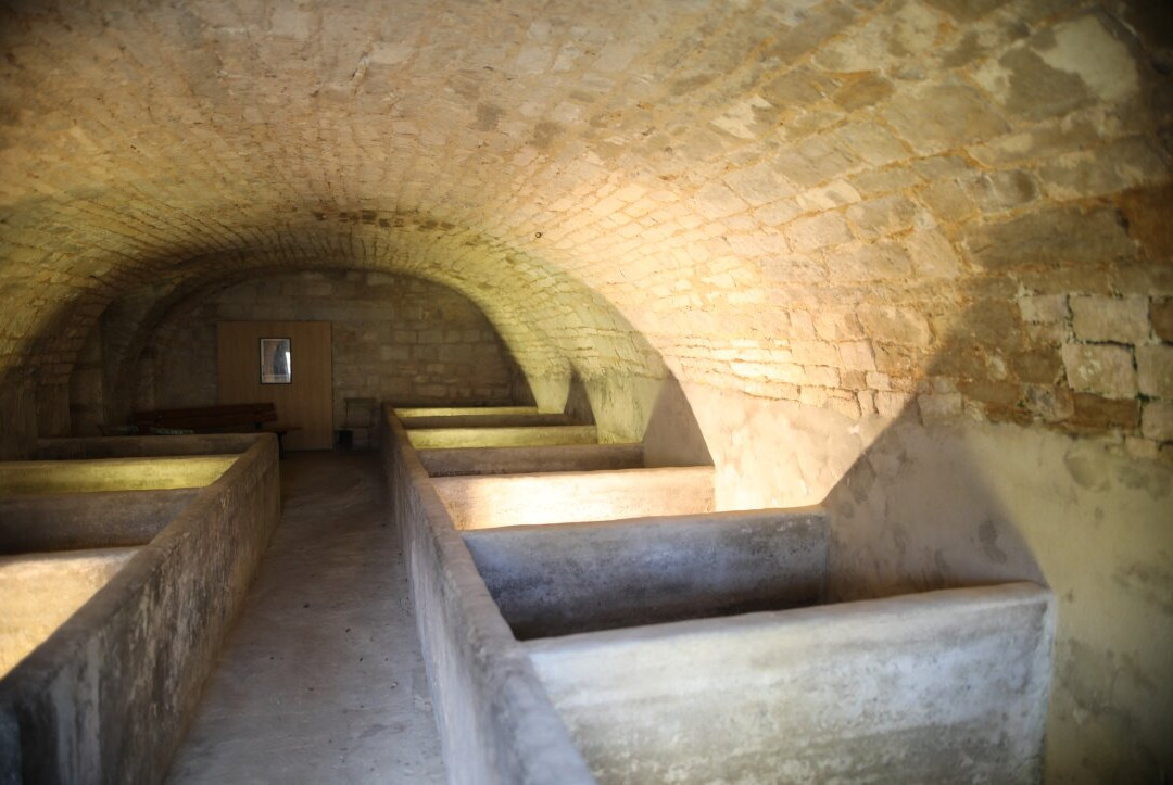 Maison natale de Louis Pasteur-多勒必去景点