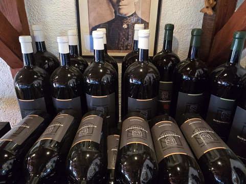 勃艮达霍夫酒店-限成人主图