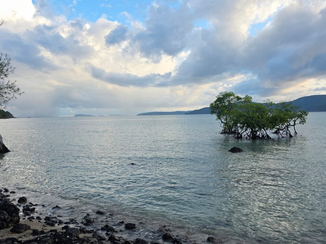 Chidiya Tapu-布莱尔港必去景点
