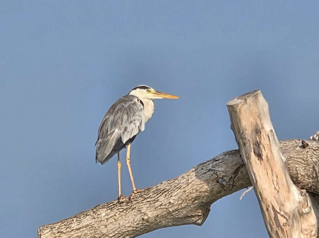 Atmosphere 卡尼富士度假村主图