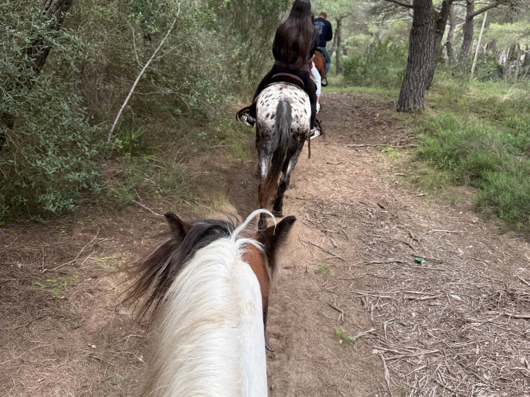 Family Horses 373-5361953-Marina di Ginosa必去景点