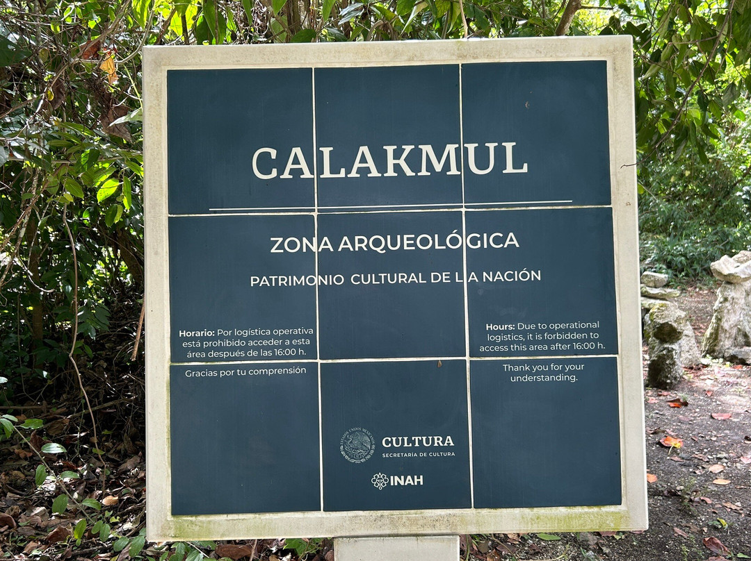Reserva de la Biosfera de Calakmul-卡拉克穆尔必去景点