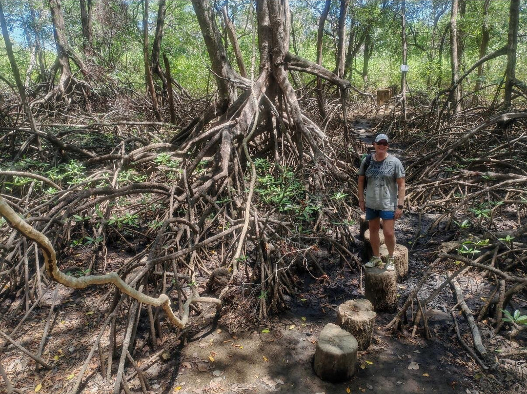Nature Tours Gabriela-诺萨拉必去景点