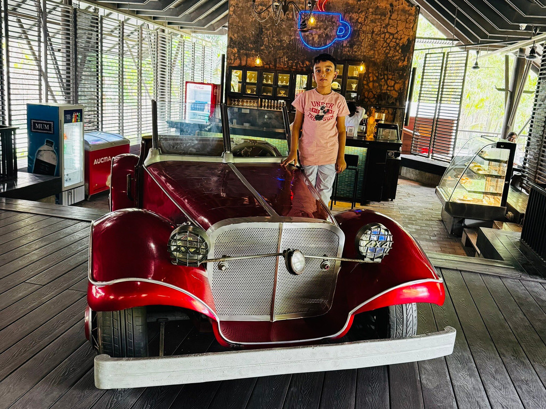 Bhawal Resort & Spa主图