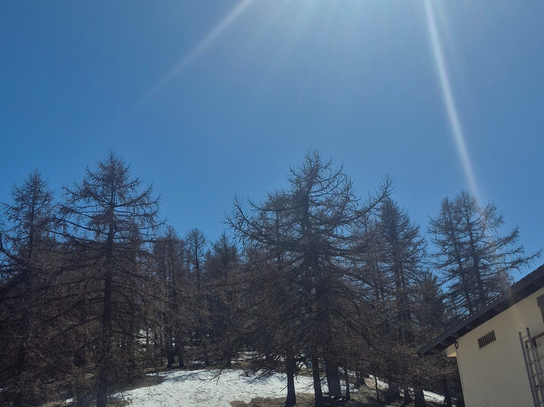 Rifugio F. Allavena主图