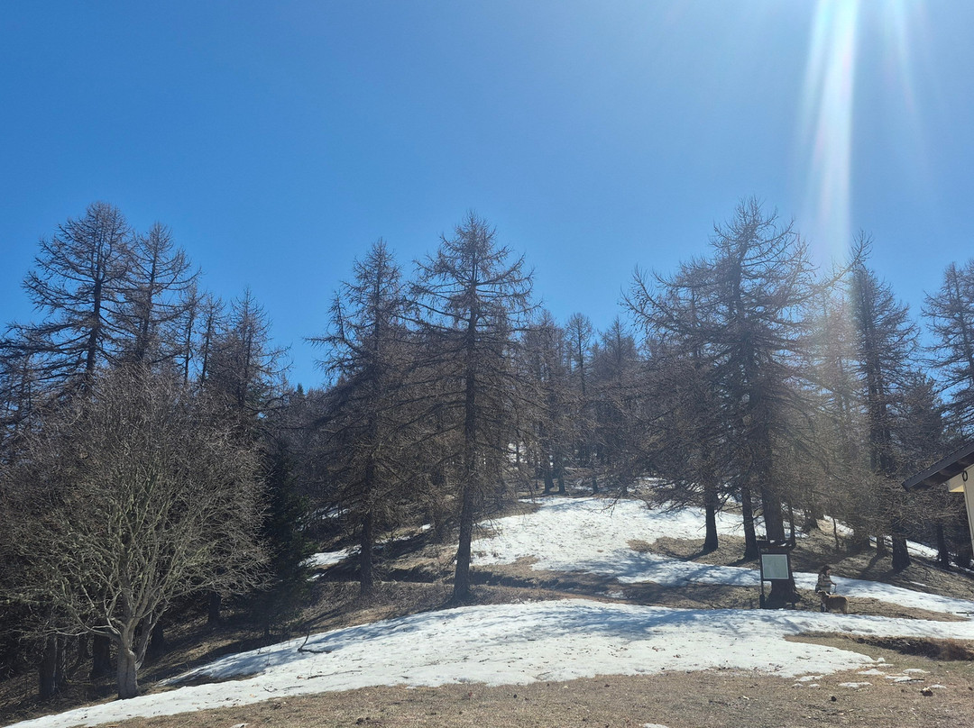 Rifugio F. Allavena主图