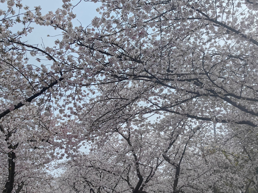 Easy Tour China-桂林市必去景点