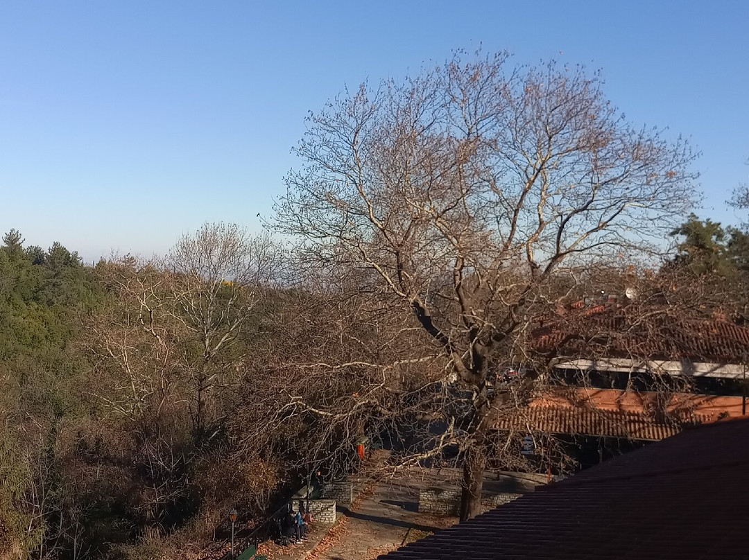 奥林巴斯景观房间桑拿和Spa主图