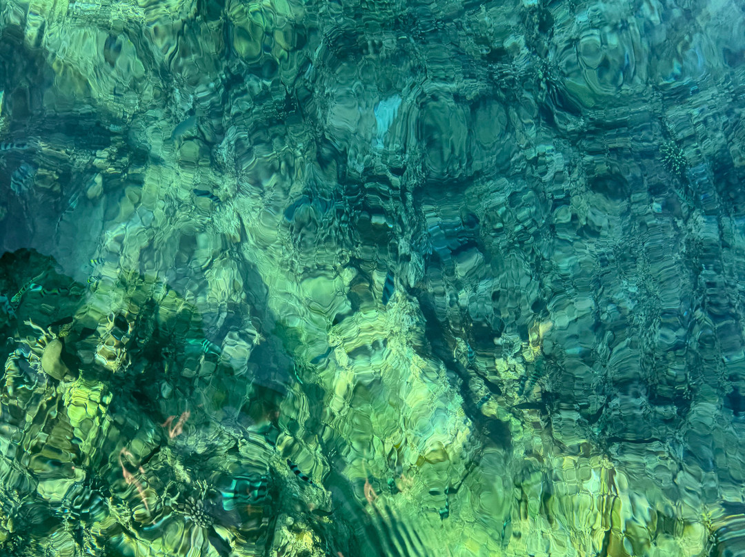 Lovina Transport Bali 007-罗威那海滩必去景点