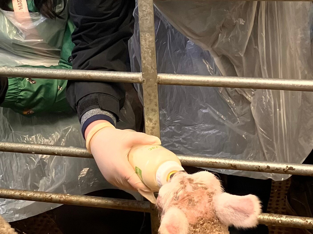 Craigbank Farm-Kilmarnock必去景点