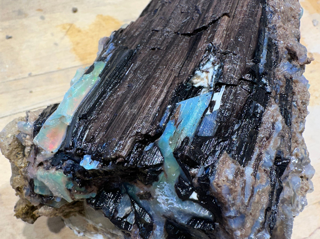 Rainbow Ridge Opal Mine-Denio必去景点