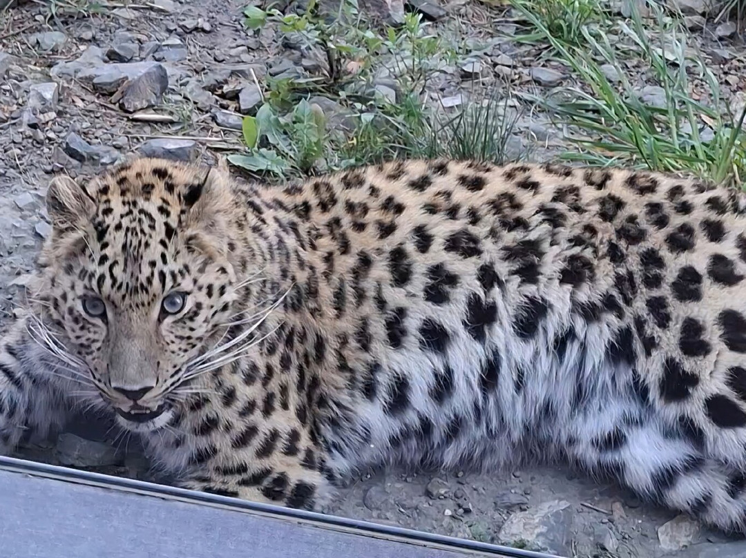 EcoZonia - Parc Animalier-Cases de Pene必去景点