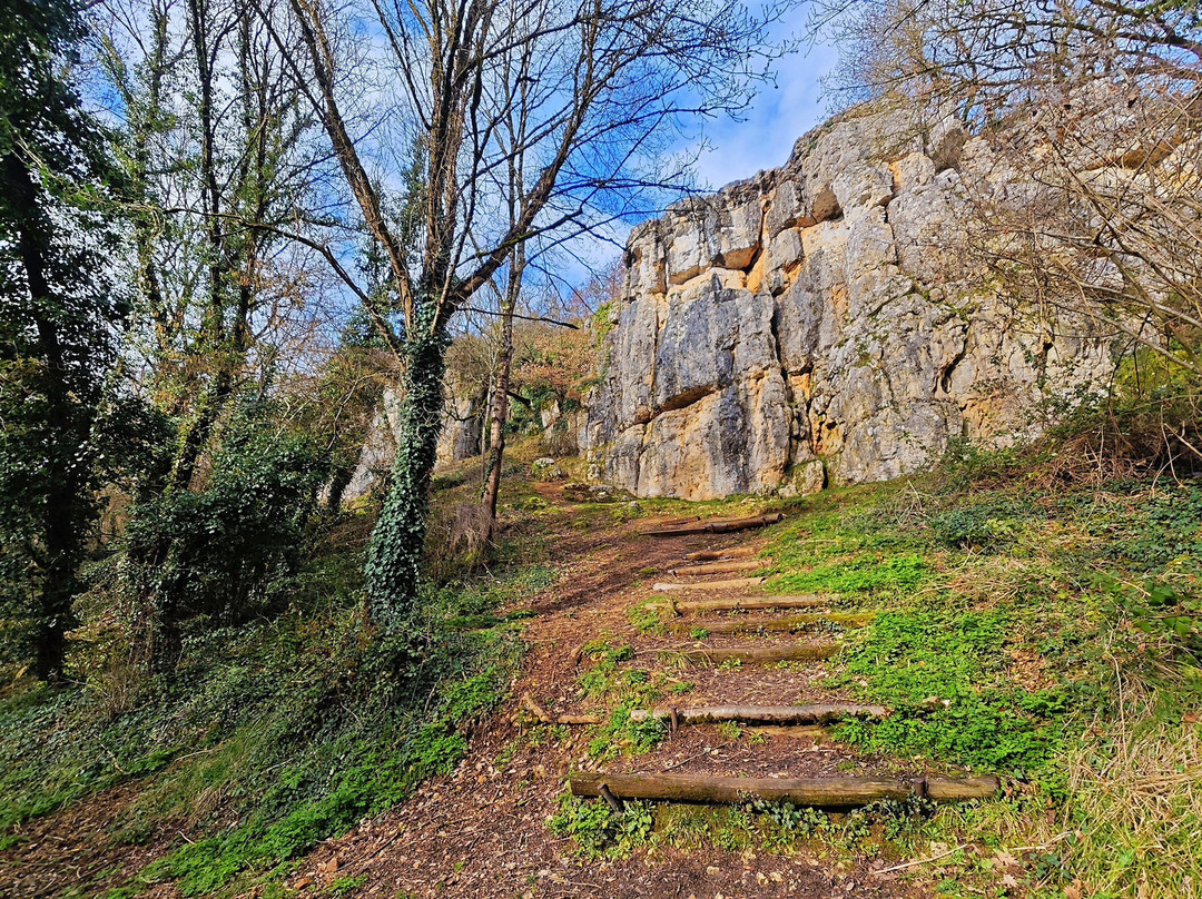 Site d'escalade de Beauvoir-Vouneuil-sous-Biard必去景点
