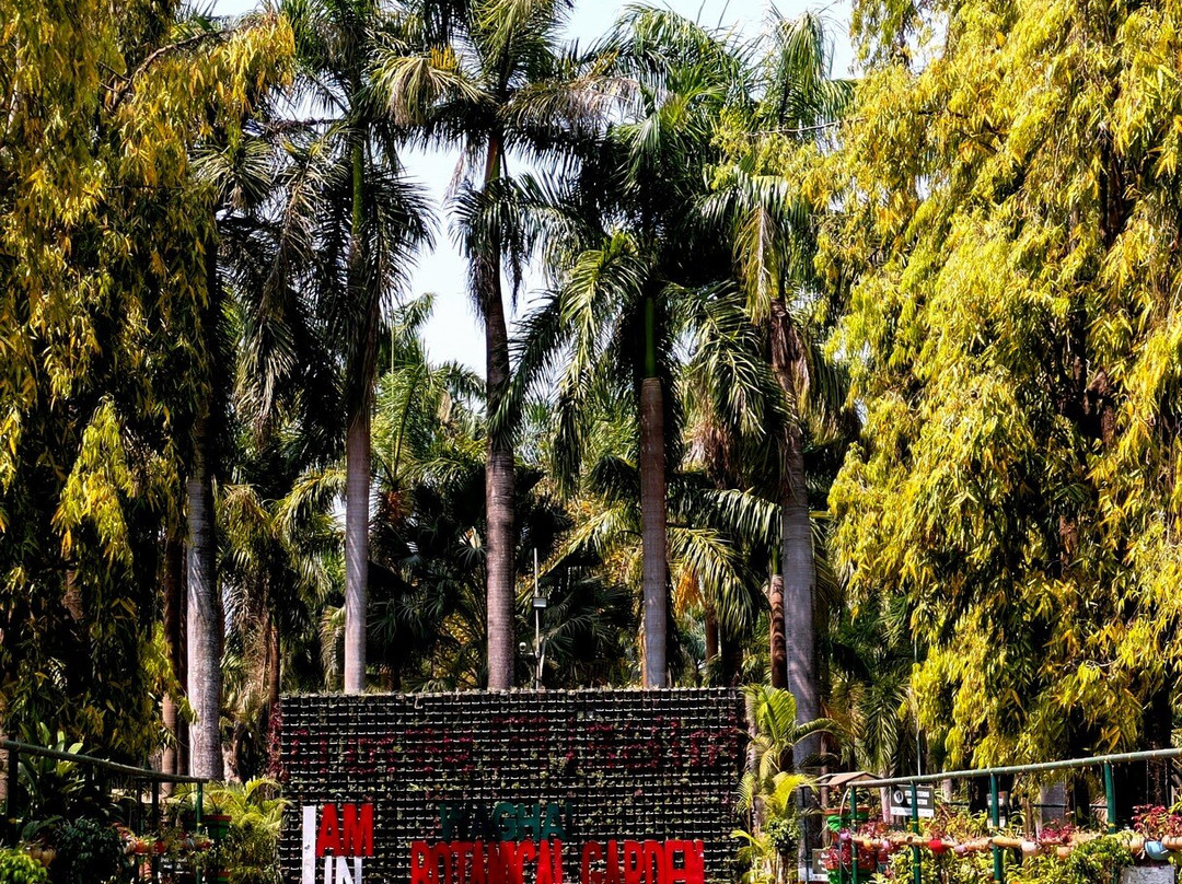 Waghai Botanical Garden-Saputara必去景点