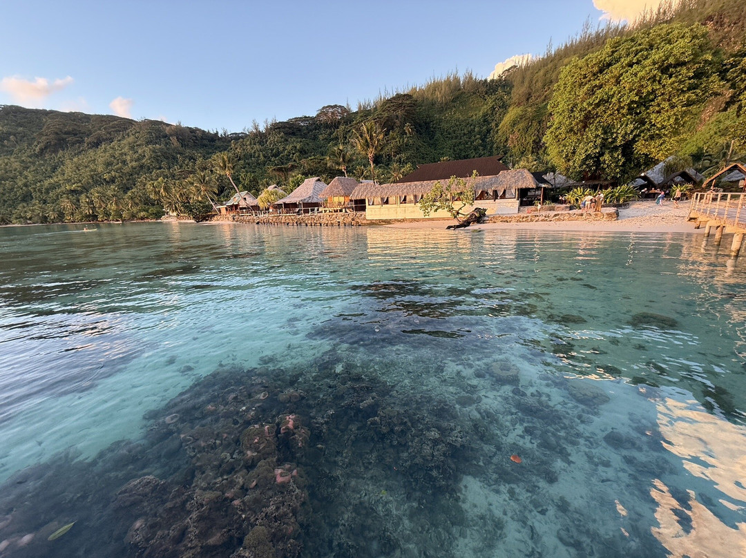 玛哈娜酒店主图
