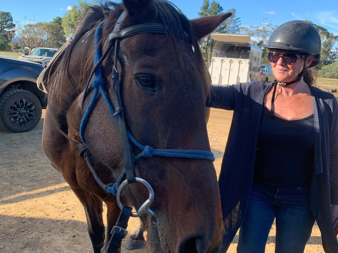 Horse Riding Tasmania-Woodsdale必去景点