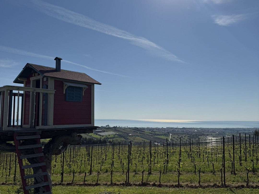 Podere Colle San Massimo-朱利亚诺瓦必去景点