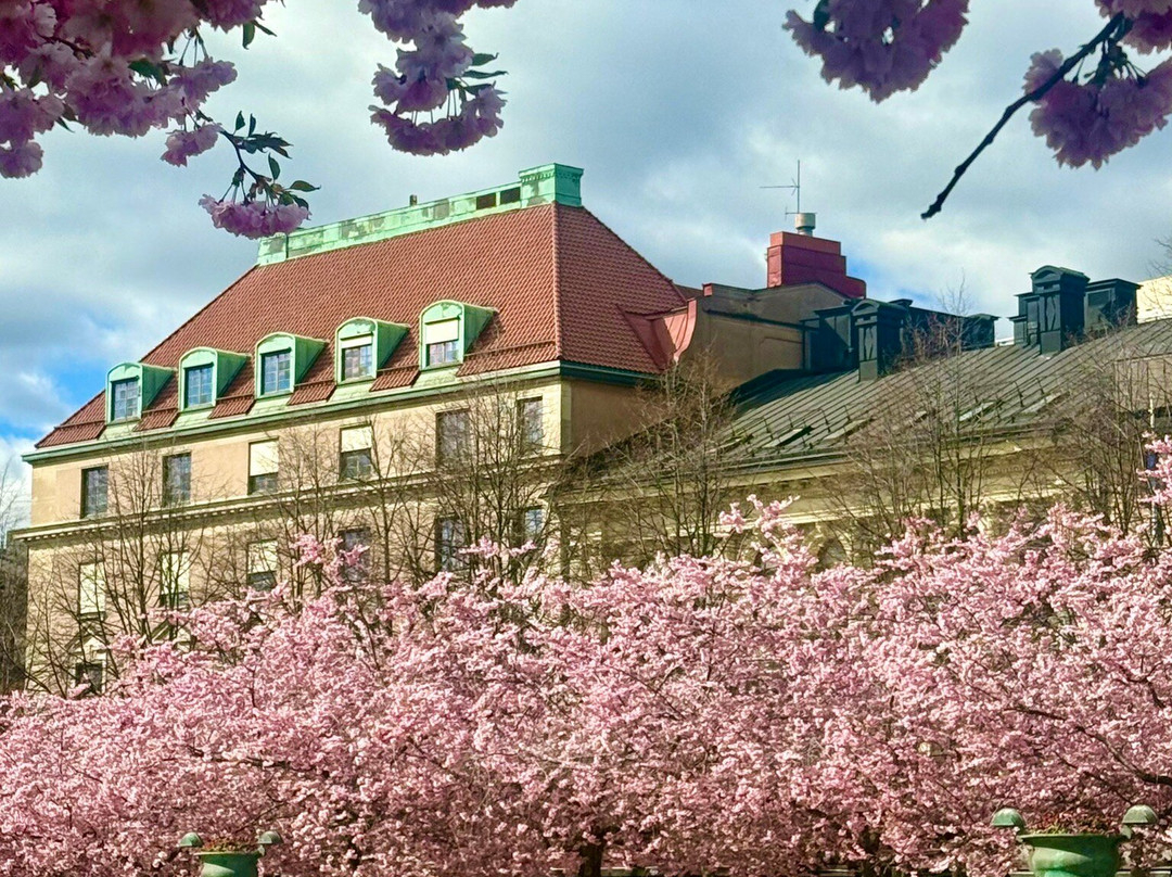 Kungsträdgården-斯德哥尔摩必去景点