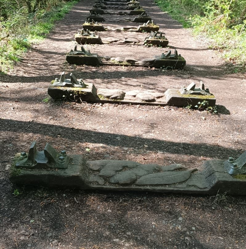 Forest of Dean Sculpture Trail-Coleford必去景点