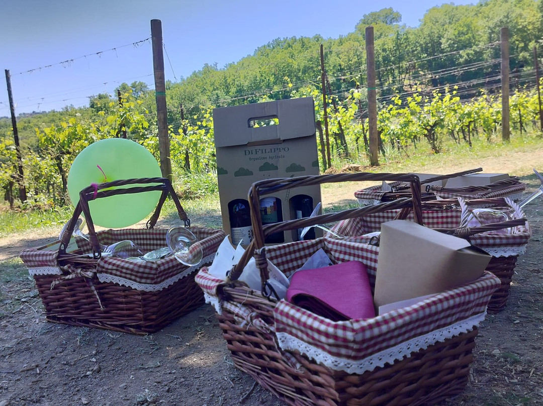 Di Filippo Winery-Cannara必去景点