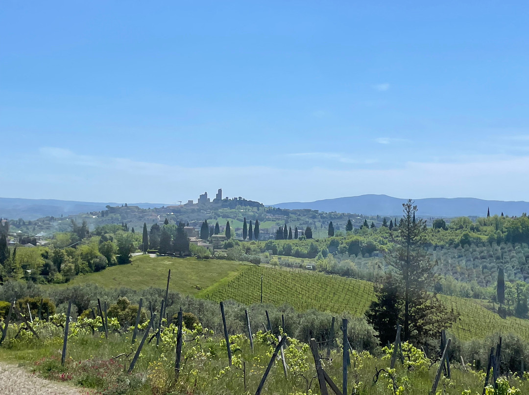 Biking Tuscany Tour-Peccioli必去景点