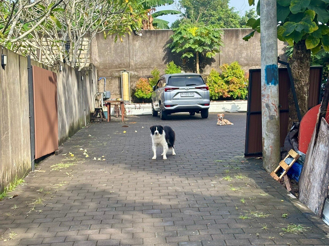 Nala's Home