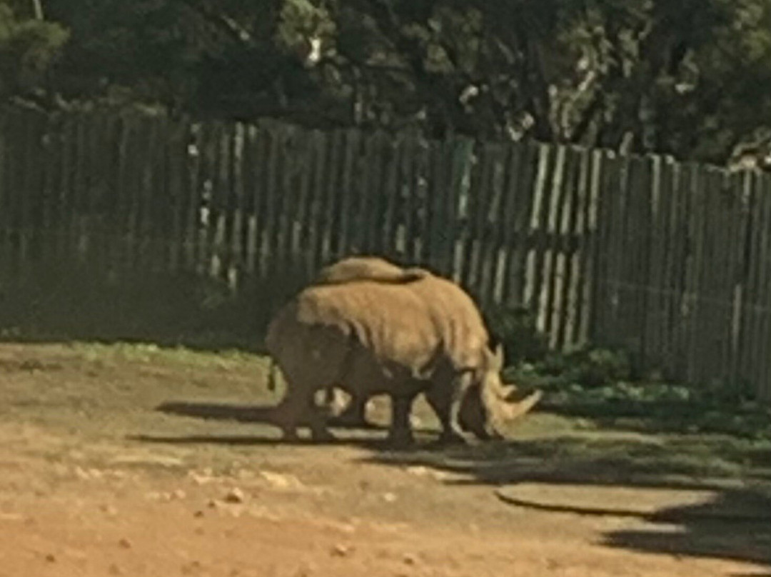 Monarto Safari Park-Monarto必去景点