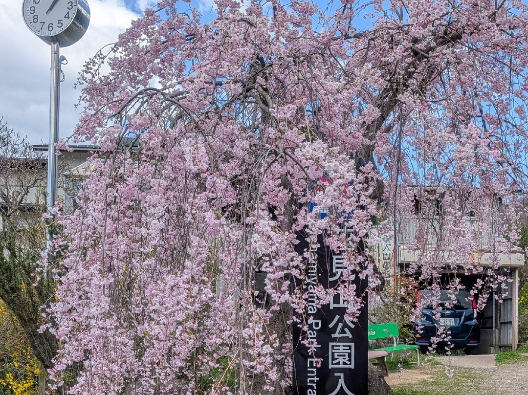 Hanamiyama Park-福岛市必去景点