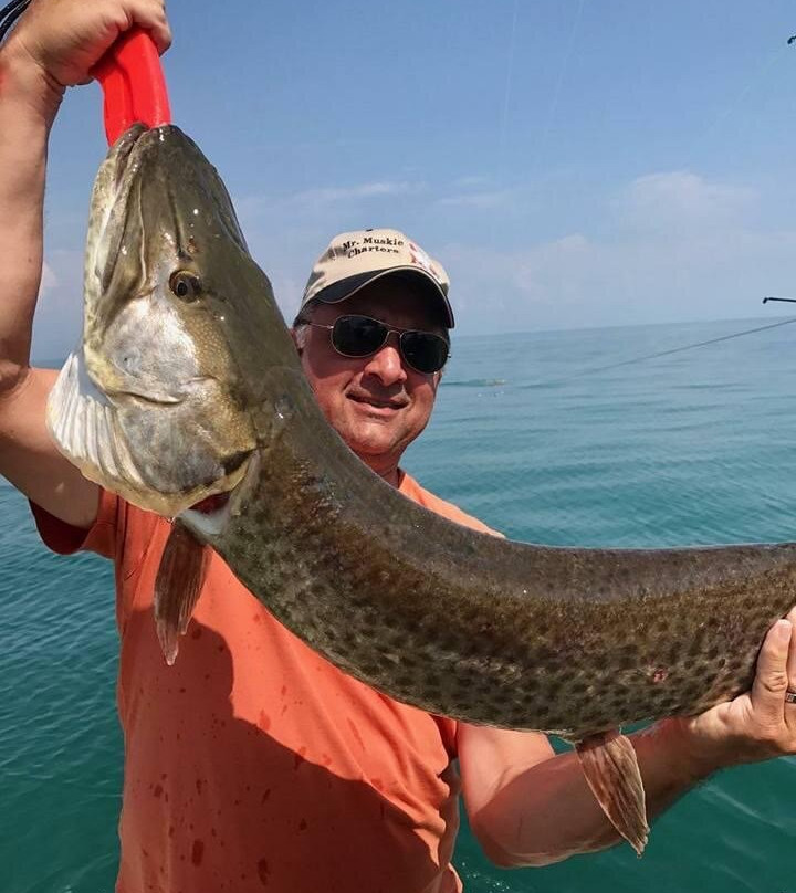 Mr. Muskie Charters-Saint Clair Shores必去景点