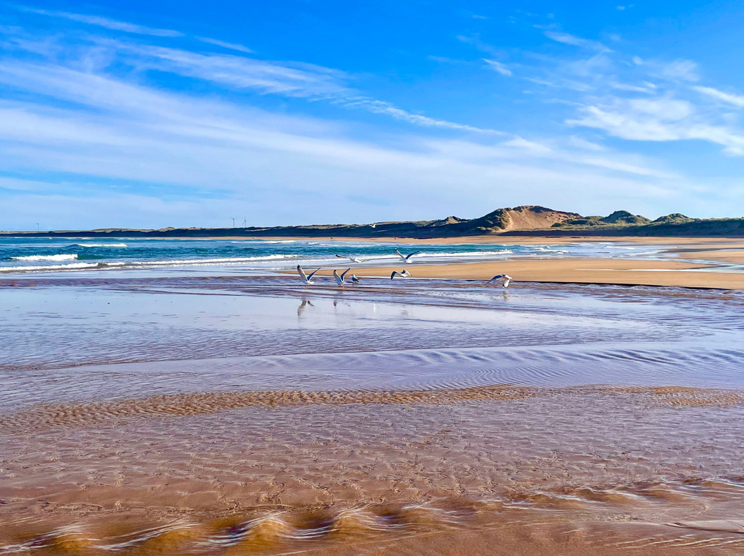 Fraserburgh Beach-Fraserburgh必去景点