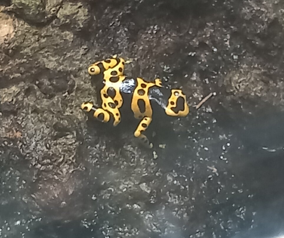 Les Jardins Animaliers Biotropica-Val de Reuil必去景点