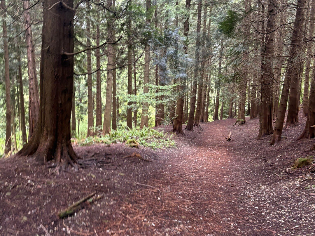 Queen Elizabeth Country Park-Horndean必去景点