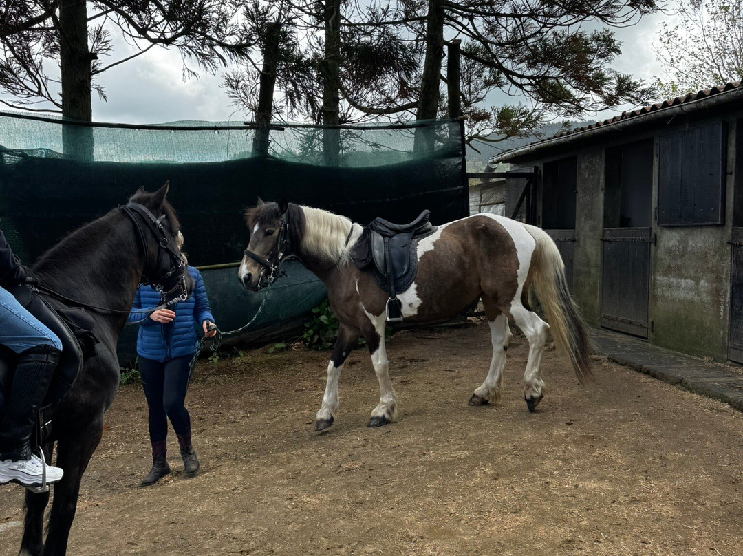 Sete Cidades Horse Riders-Sete Cidades必去景点