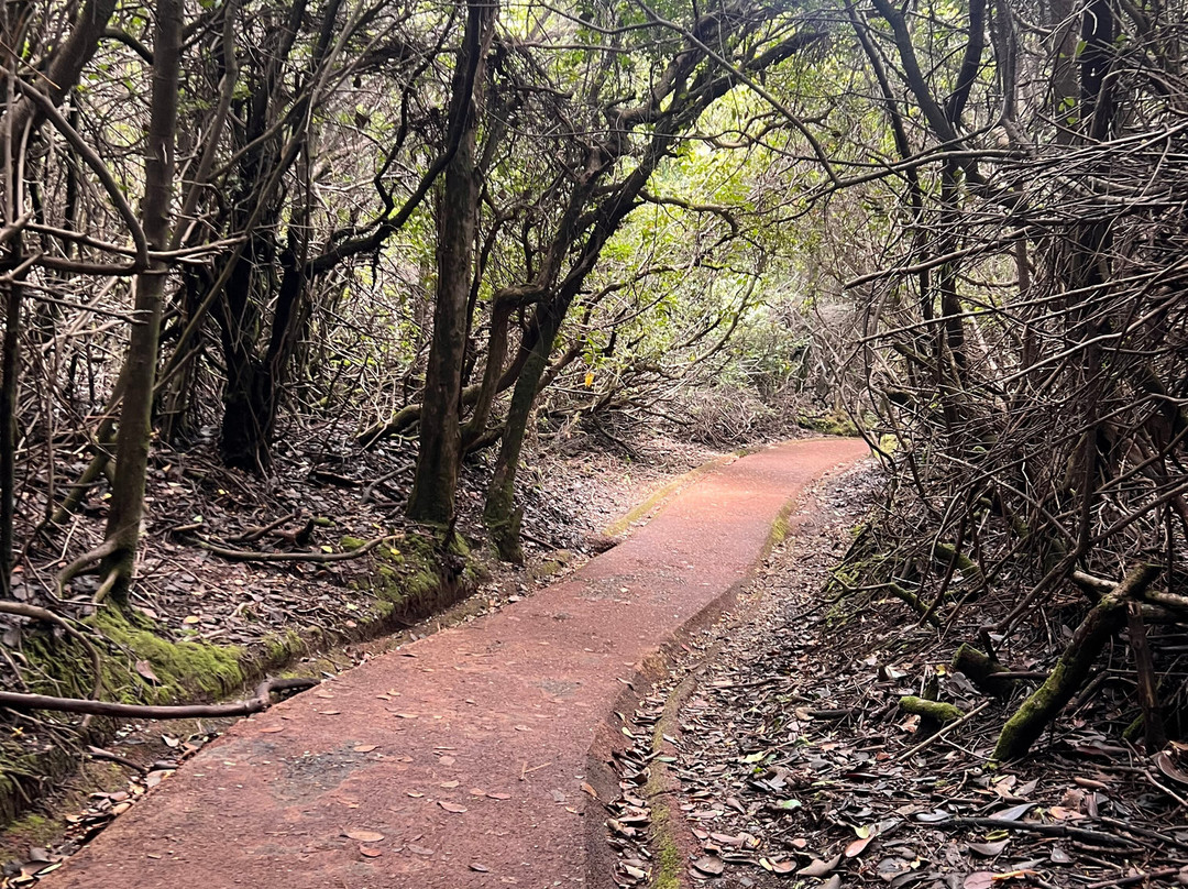 Poas Volcano-Poas Volcano National Park必去景点