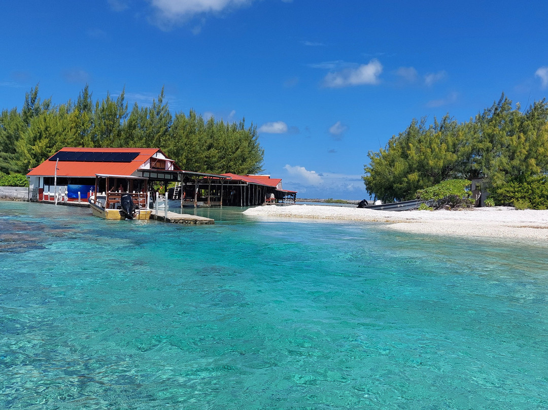 Motu Aito Paradise主图