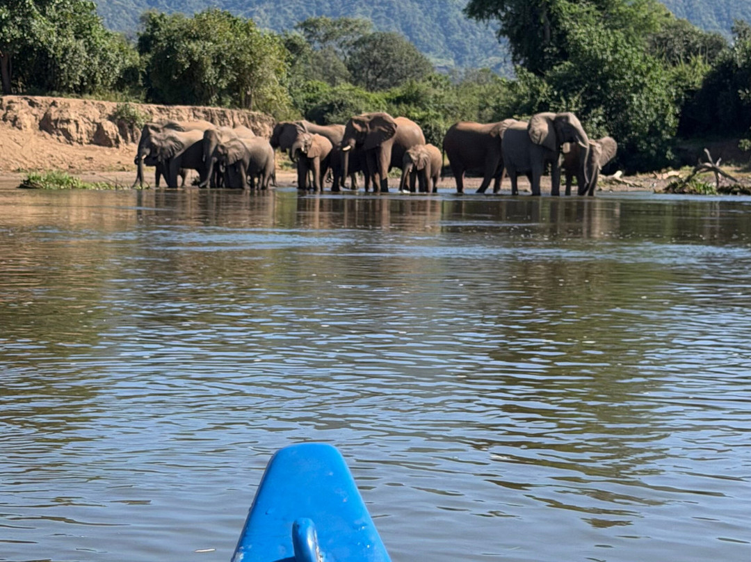 River Horse Safaris-Chirundu必去景点