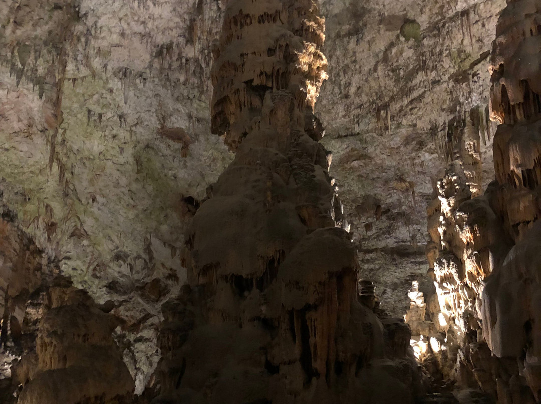 Postojna Cave-波斯托伊纳必去景点