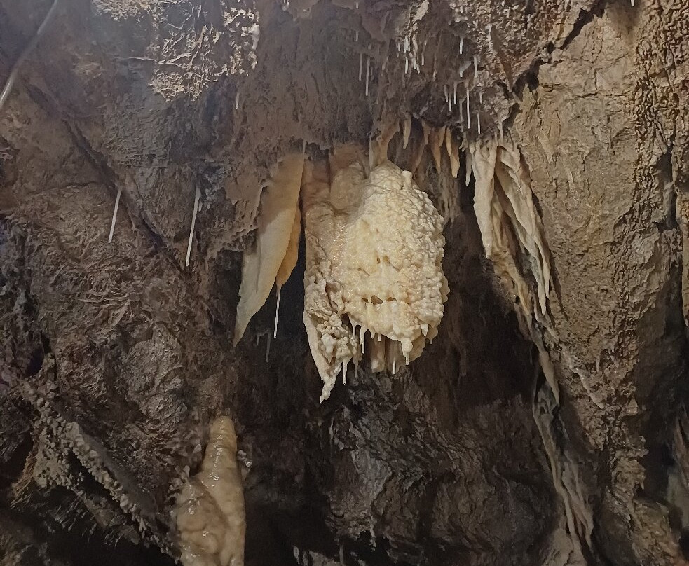 Grotta Antro del Corchia-Levigliani必去景点