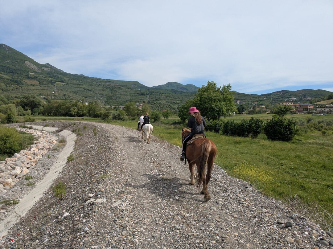 Horse Farm Santo