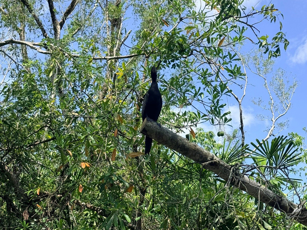 The Little Amazon-达瓜巴必去景点