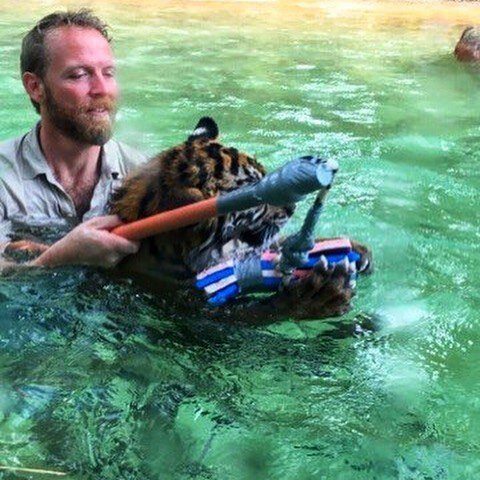 Australia Zoo-Beerwah必去景点