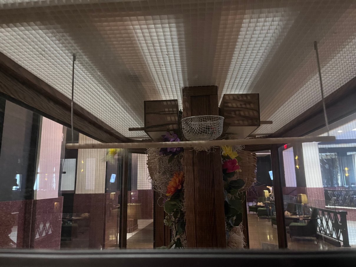 傲途格精选勇士酒店-旅行者