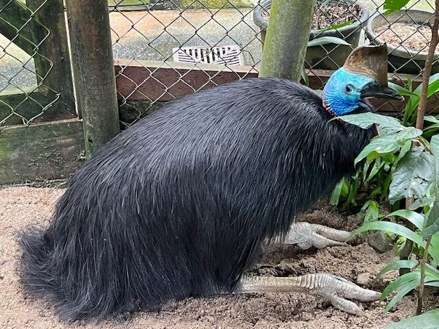 Birdworld Kuranda-库兰达必去景点