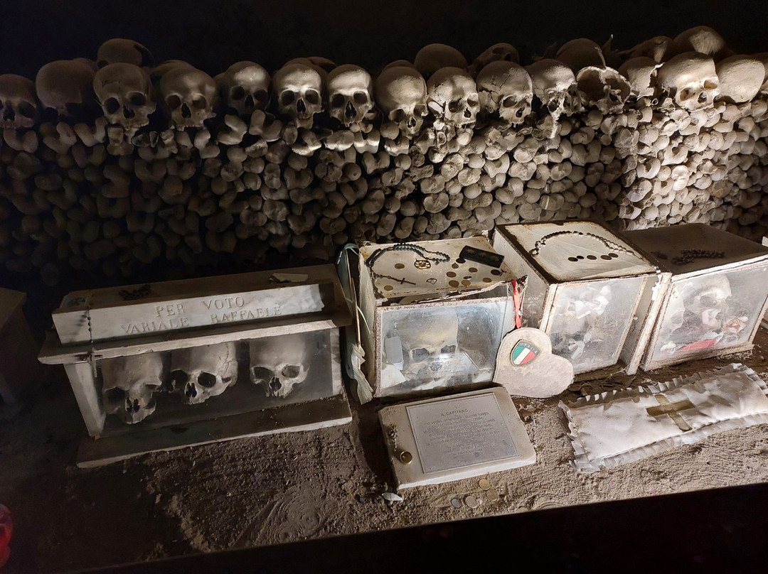 Morosofi Guided Tours-庞贝必去景点