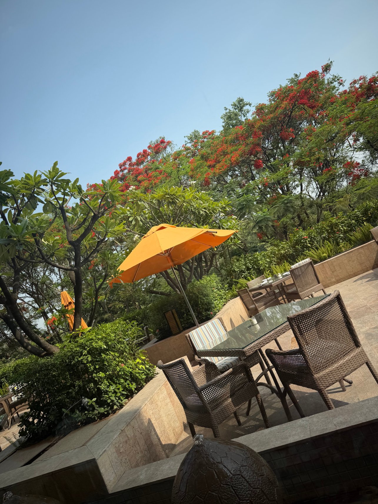 浦那Hyatt酒店-旅行者