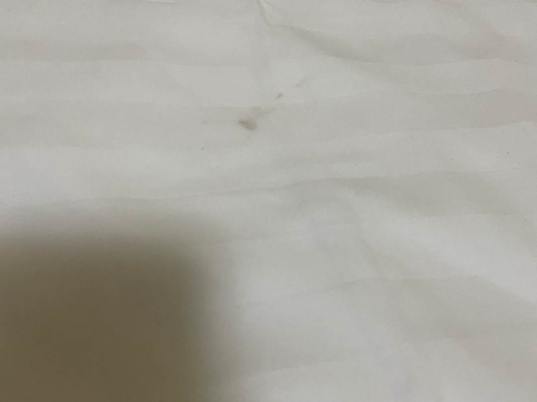布什站酒店主图