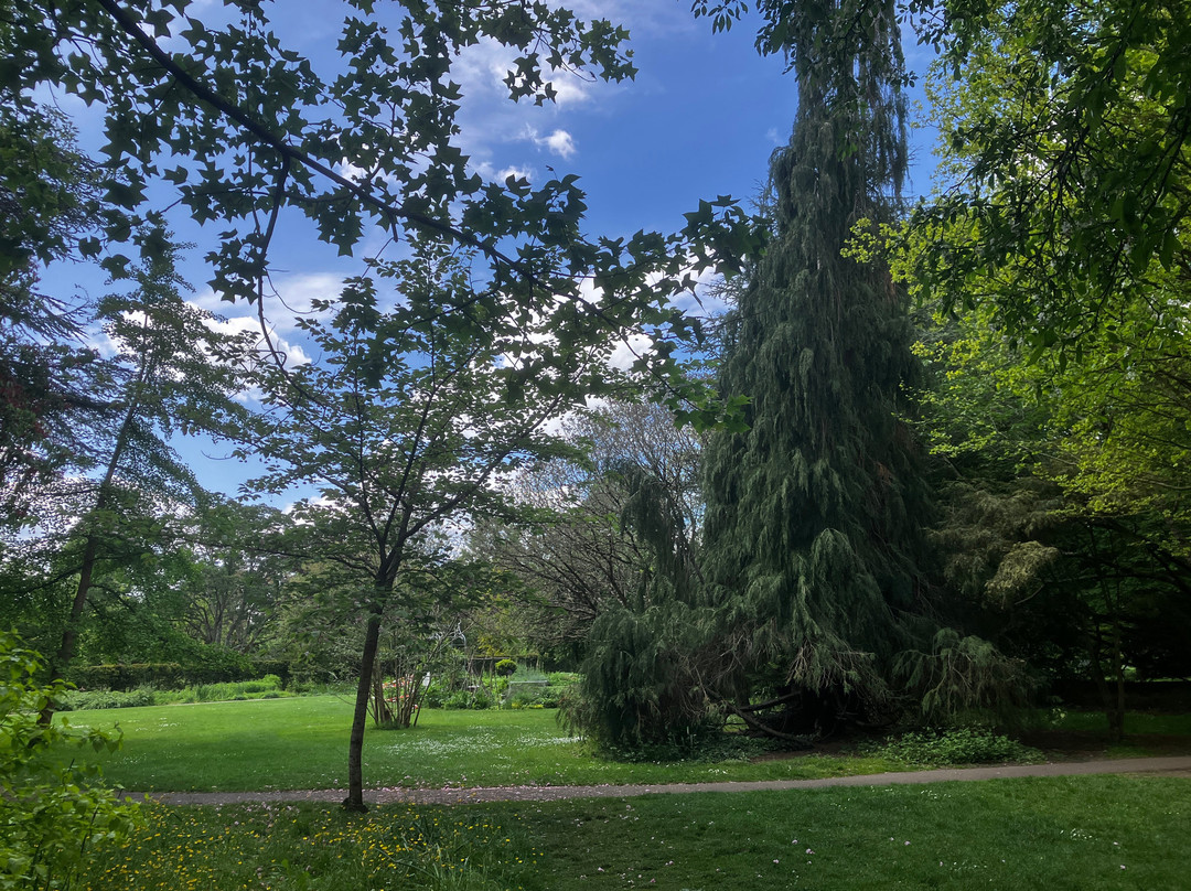 Botanical Gardens at Victoria Park-巴斯必去景点