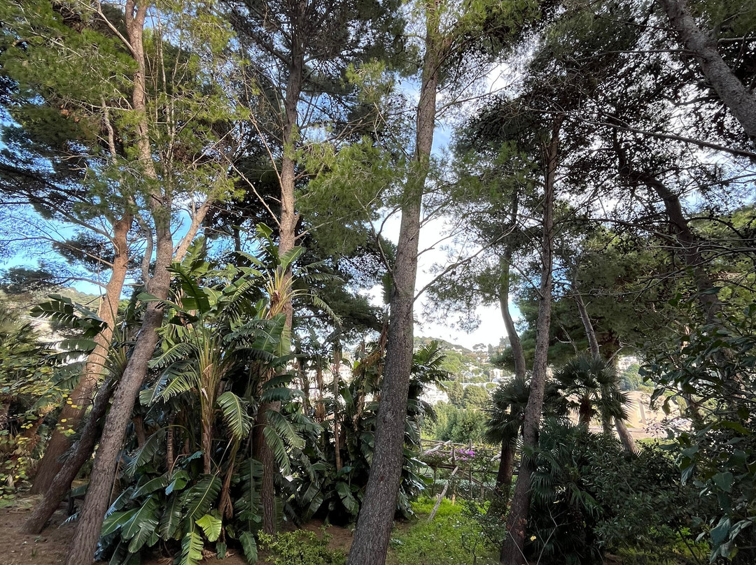 奥古斯都花园-卡碧岛必去景点