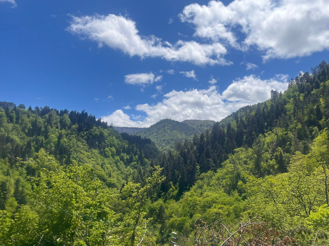 Borjomi Central Park-Borjomi必去景点